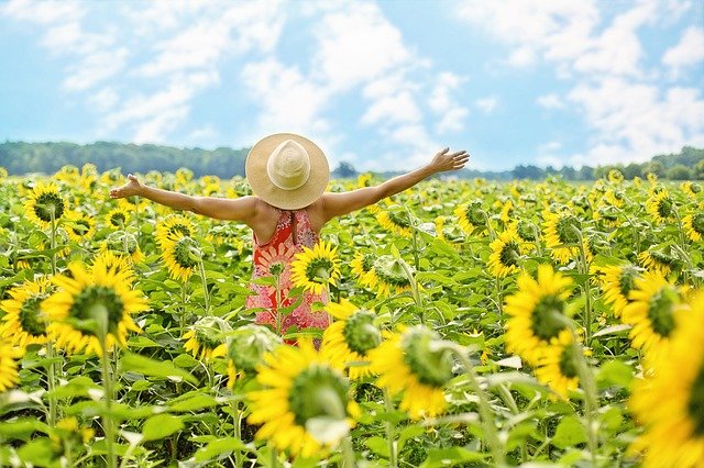 ひまわりさんのアファメーション　引き寄せの法則（やる気、モチベーション、生きる活力）